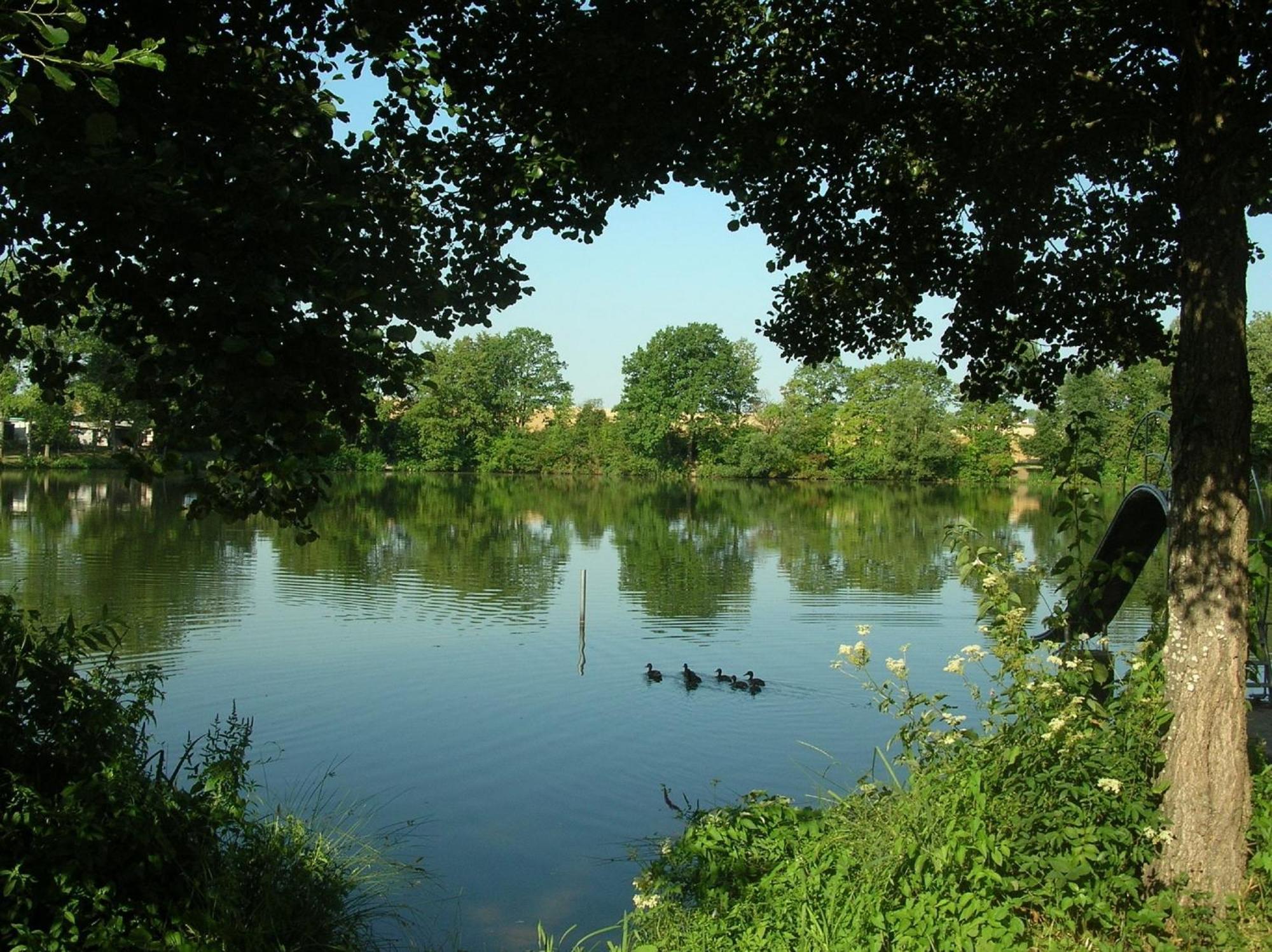 Apartament Margit *